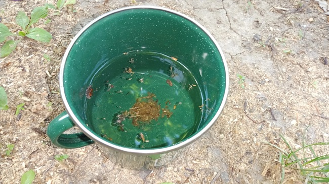 dirty water while camping