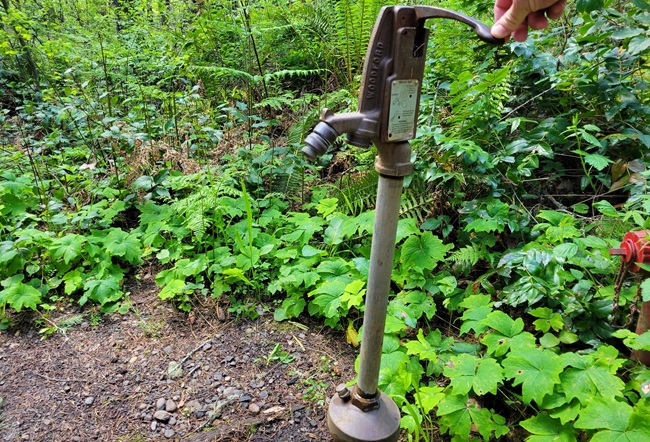 How Long to Digest Water: Helpful Facts About Water Absorption