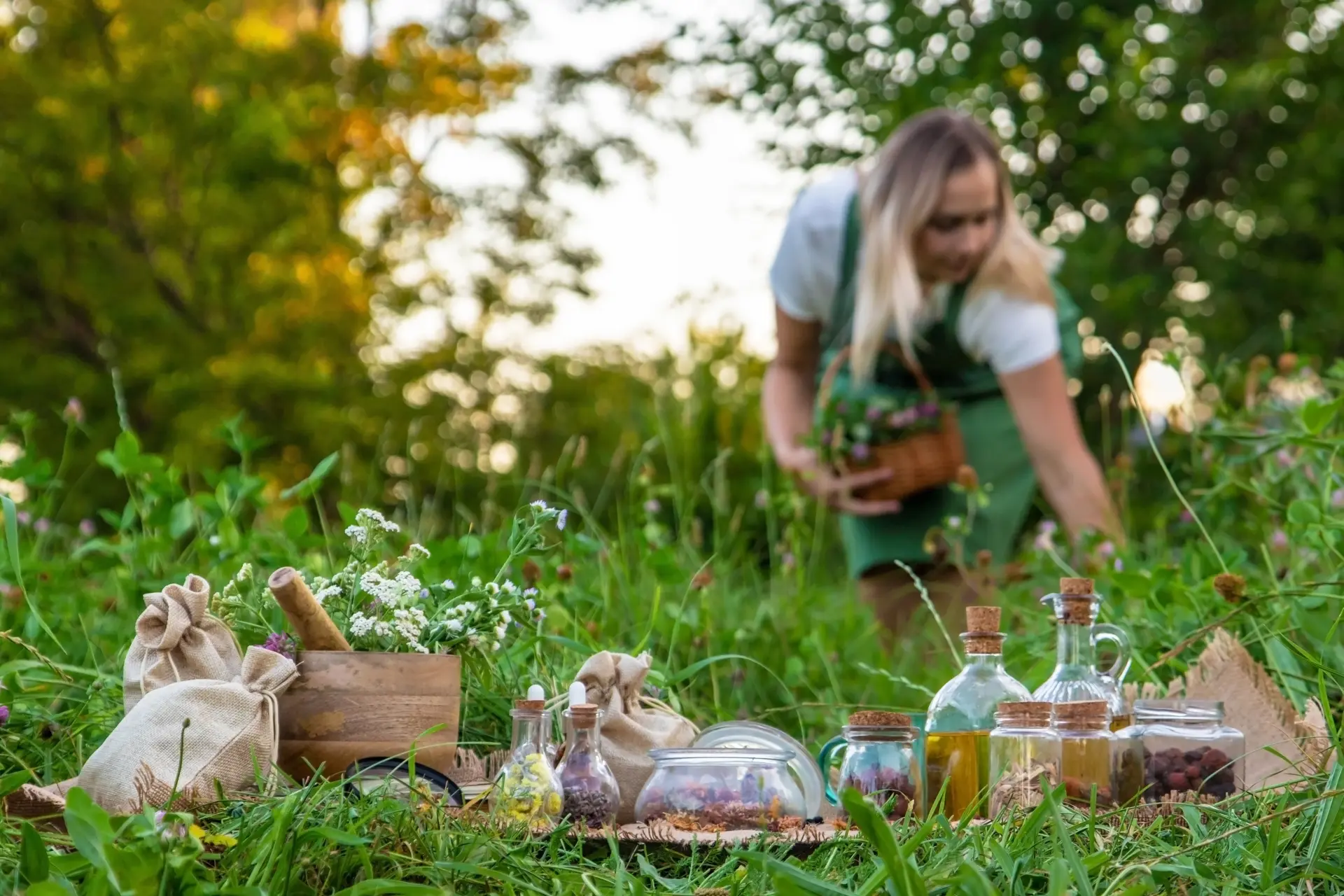 foraging for wild foods
