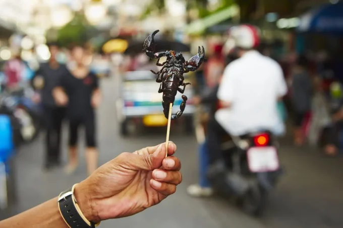 roasted large scorpion