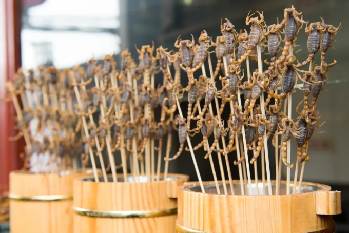 scorpions on sticks ready to eat