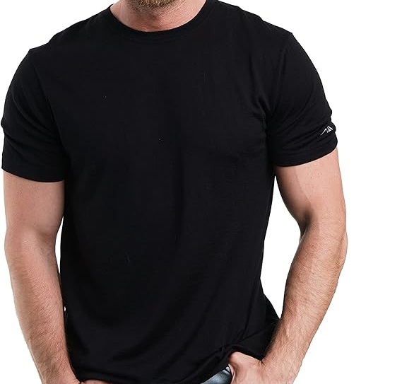 Merino Wool Tee (Smartwool Ridge Merino)