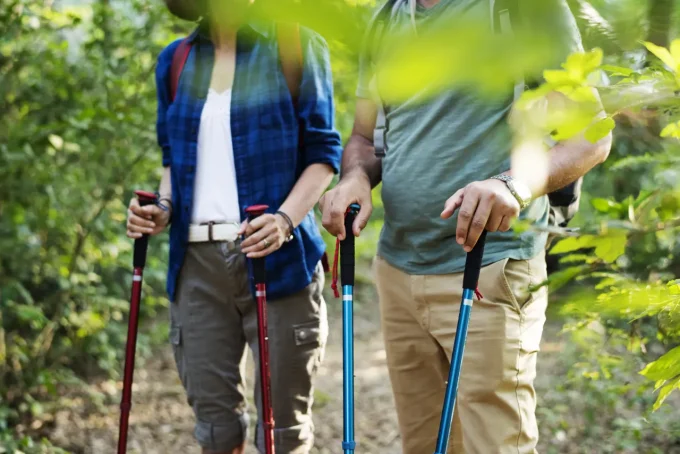 professional walking stick