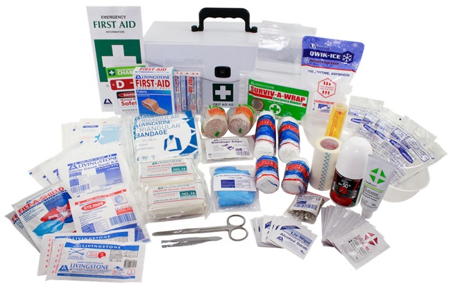 Camping first aid kit contents including bandages, tweezers and antiseptic wipes